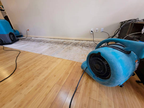 Professional Sewage Cleanup technician working in Olney, TX